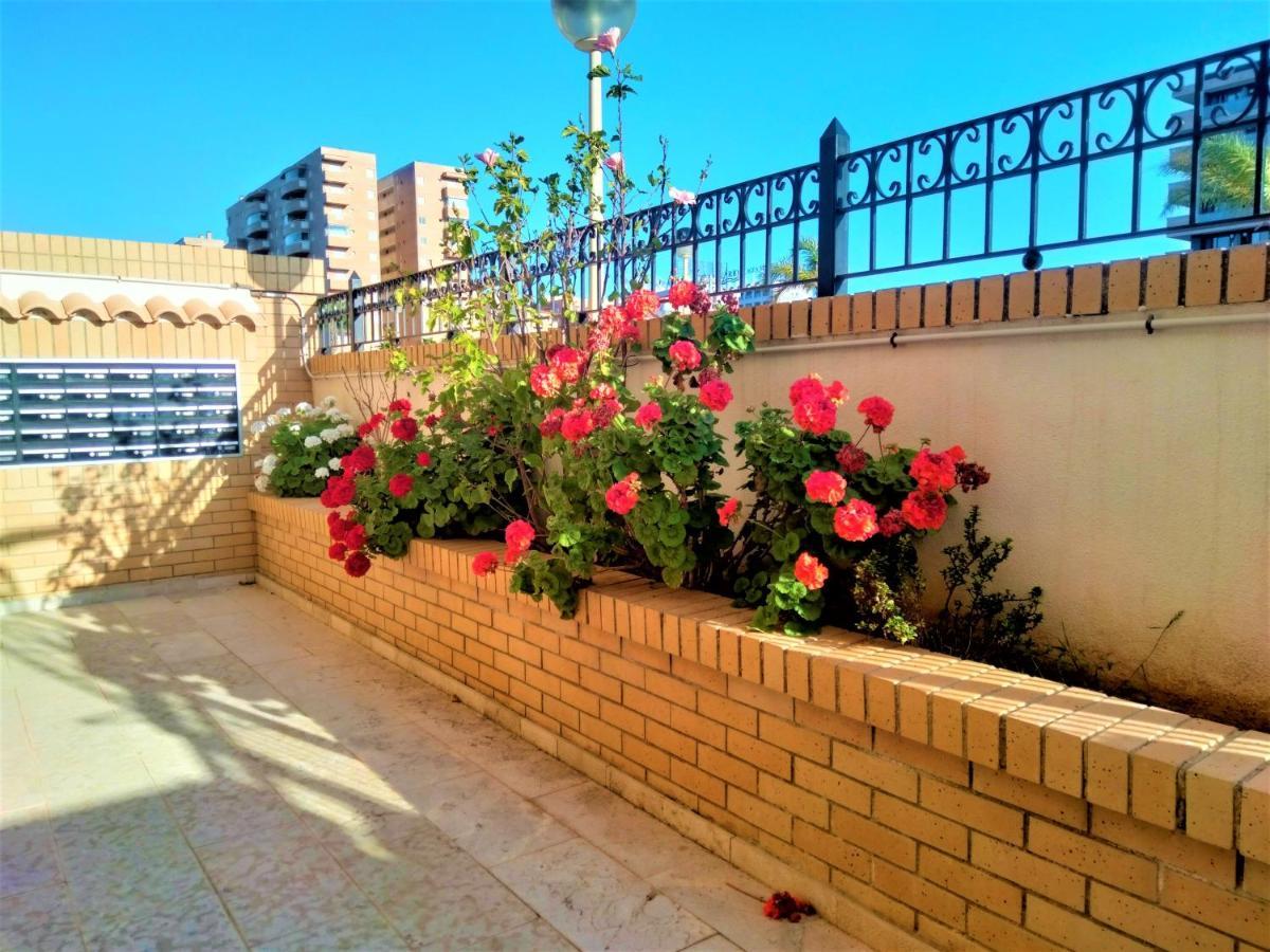 Appartement Acv - Valparaiso - 2ª Linea, Planta 3, Norte